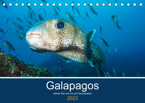 Unterwasserwelt Galapagos (Tischkalender 2023 DIN A5 quer) von photography,  IAM