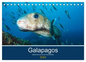 Unterwasserwelt Galapagos (Tischkalender 2024 DIN A5 quer), CALVENDO Monatskalender von photography,  IAM