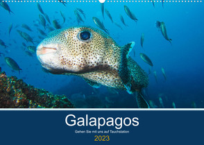 Unterwasserwelt Galapagos (Wandkalender 2023 DIN A2 quer) von photography,  IAM