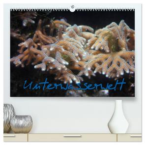 Unterwasserwelt (hochwertiger Premium Wandkalender 2024 DIN A2 quer), Kunstdruck in Hochglanz von Wandt,  Stefanie