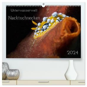 Unterwasserwelt Nacktschnecken (hochwertiger Premium Wandkalender 2024 DIN A2 quer), Kunstdruck in Hochglanz von Oldani,  Dorothea