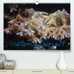 Unterwasserwelt (Premium, hochwertiger DIN A2 Wandkalender 2023, Kunstdruck in Hochglanz) von Wandt,  Stefanie