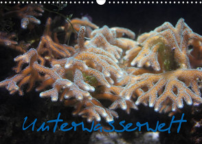 Unterwasserwelt (Wandkalender 2023 DIN A3 quer) von Wandt,  Stefanie