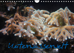 Unterwasserwelt (Wandkalender 2023 DIN A4 quer) von Wandt,  Stefanie