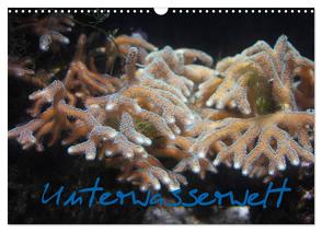 Unterwasserwelt (Wandkalender 2024 DIN A3 quer), CALVENDO Monatskalender von Wandt,  Stefanie