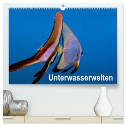 Unterwasserwelten (hochwertiger Premium Wandkalender 2024 DIN A2 quer), Kunstdruck in Hochglanz von Gödecker,  Dieter