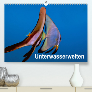 Unterwasserwelten (Premium, hochwertiger DIN A2 Wandkalender 2022, Kunstdruck in Hochglanz) von Gödecker,  Dieter