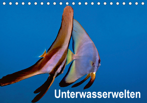 Unterwasserwelten (Tischkalender 2021 DIN A5 quer) von Gödecker,  Dieter
