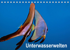 Unterwasserwelten (Tischkalender 2023 DIN A5 quer) von Gödecker,  Dieter