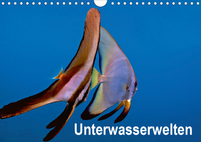 Unterwasserwelten (Wandkalender 2021 DIN A4 quer) von Gödecker,  Dieter