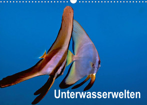 Unterwasserwelten (Wandkalender 2022 DIN A3 quer) von Gödecker,  Dieter