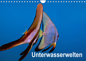 Unterwasserwelten (Wandkalender 2022 DIN A4 quer) von Gödecker,  Dieter