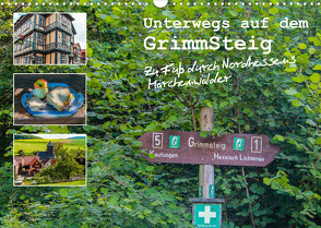 Unterwegs auf dem GrimmSteig – Zu Fuß durch Nordhessens Märchenwälder (Wandkalender 2023 DIN A3 quer) von Bering,  Thomas
