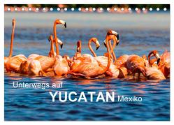 Unterwegs auf Yucatan Mexiko (Tischkalender 2024 DIN A5 quer), CALVENDO Monatskalender von Baumert,  Frank