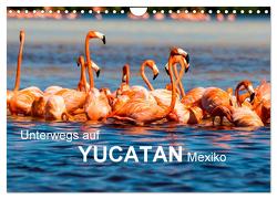 Unterwegs auf Yucatan Mexiko (Wandkalender 2024 DIN A4 quer), CALVENDO Monatskalender von Baumert,  Frank