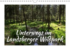 Unterwegs im Landsberger Wildpark (Wandkalender 2018 DIN A4 quer) von Reichenauer,  Maria