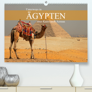 Unterwegs in Ägypten – über Kairo nach Assuan (Premium, hochwertiger DIN A2 Wandkalender 2021, Kunstdruck in Hochglanz) von Werner Altner,  Dr.