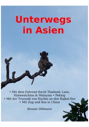 Unterwegs in Asien von Dr. Dillmann,  Renate