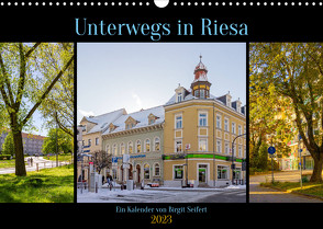 Unterwegs in Riesa (Wandkalender 2023 DIN A3 quer) von Harriette Seifert,  Birgit