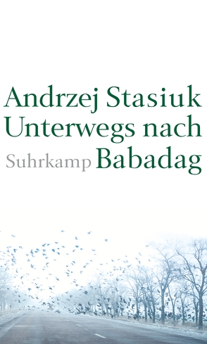 Unterwegs nach Babadag von Schmidgall,  Renate, Stasiuk,  Andrzej