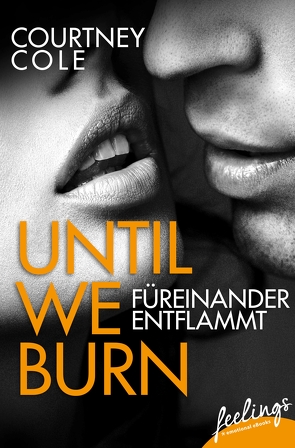 Until We Burn – Füreinander entflammt von Cole,  Courtney, Lindholm,  Rebecca