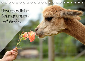 Unvergessliche Begegnungen mit Alpakas (Tischkalender 2023 DIN A5 quer) von Rentschler,  Heidi