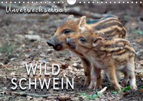 Unverwechselbar – Wildschwein (Wandkalender 2019 DIN A4 quer) von Roder,  Peter
