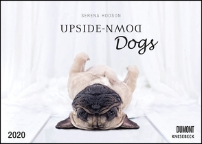 Upside-Down Dogs 2020 – Hunde stehen Kopf – Von Serena Hodson – Wandkalender – Format 29,7 x 42 cm von DUMONT Kalenderverlag, Hodson,  Serena