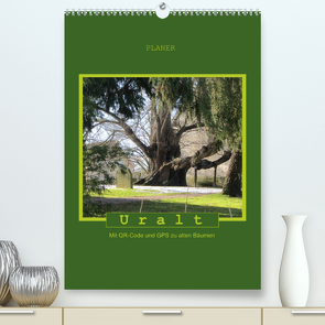 Uralt – Mit QR-Code und GPS zu alten Bäumen (Premium, hochwertiger DIN A2 Wandkalender 2022, Kunstdruck in Hochglanz) von Keller,  Angelika