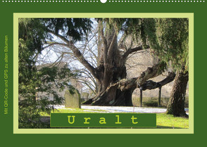 Uralt – Mit QR-Code und GPS zu alten Bäumen (Wandkalender 2022 DIN A2 quer) von Keller,  Angelika