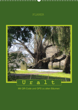 Uralt – Mit QR-Code und GPS zu alten Bäumen (Wandkalender 2023 DIN A2 hoch) von Keller,  Angelika