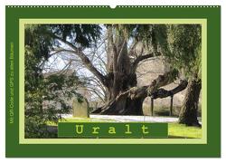 Uralt – Mit QR-Code und GPS zu alten Bäumen (Wandkalender 2024 DIN A2 quer), CALVENDO Monatskalender von Keller,  Angelika