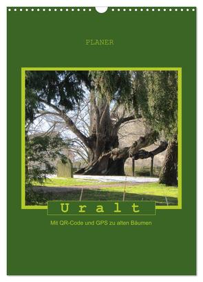 Uralt – Mit QR-Code und GPS zu alten Bäumen (Wandkalender 2024 DIN A3 hoch), CALVENDO Monatskalender von Keller,  Angelika