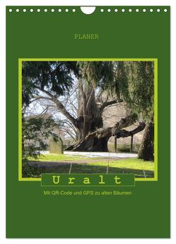 Uralt – Mit QR-Code und GPS zu alten Bäumen (Wandkalender 2024 DIN A4 hoch), CALVENDO Monatskalender von Keller,  Angelika
