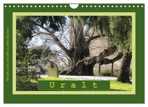 Uralt – Mit QR-Code und GPS zu alten Bäumen (Wandkalender 2024 DIN A4 quer), CALVENDO Monatskalender von Keller,  Angelika