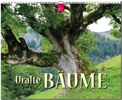 Uralte Bäume von Kühn,  Uwe