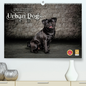 Urban Dogs – Hundekalender der anderen Art (Premium, hochwertiger DIN A2 Wandkalender 2021, Kunstdruck in Hochglanz) von Pinkoss Photostorys,  Oliver