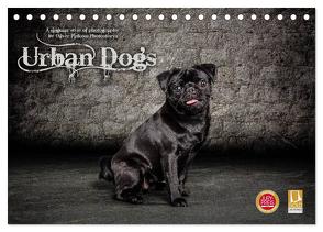 Urban Dogs – Hundekalender der anderen Art (Tischkalender 2024 DIN A5 quer), CALVENDO Monatskalender von Pinkoss Photostorys,  Oliver