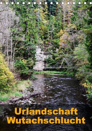 Urlandschaft Wutachschlucht (Tischkalender 2019 DIN A5 hoch) von Hug,  Simone