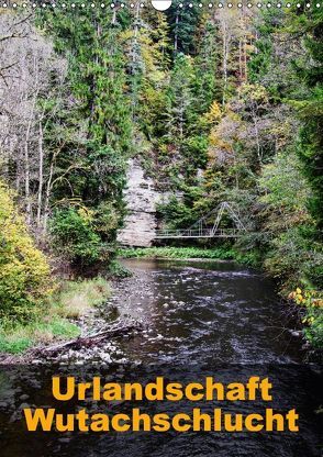 Urlandschaft Wutachschlucht (Wandkalender 2018 DIN A3 hoch) von Hug,  Simone