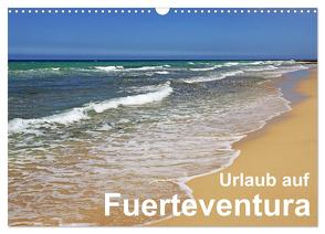Urlaub auf Fuerteventura (Wandkalender 2024 DIN A3 quer), CALVENDO Monatskalender von Eppele,  Klaus