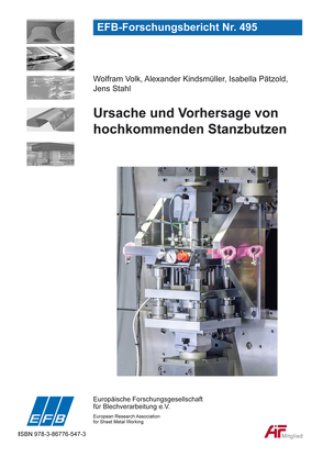 Ursache und Vorhersage von hochkommenden Stanzbutzen von Kindsmüller,  Alexander, Pätzold,  Isabella, Stahl,  Jens, Volk,  Wolfram