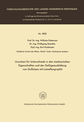 Ursachen für Unterschiede in den mechanischen Eigenschaften und der Gefügeausbildung von Gußeisen mit Lamellengraphit von Patterson,  Wilhelm