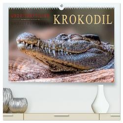 Urzeitreptilien – Krokodil (hochwertiger Premium Wandkalender 2024 DIN A2 quer), Kunstdruck in Hochglanz von Roder,  Peter