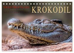 Urzeitreptilien – Krokodil (Tischkalender 2024 DIN A5 quer), CALVENDO Monatskalender von Roder,  Peter