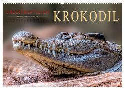 Urzeitreptilien – Krokodil (Wandkalender 2024 DIN A2 quer), CALVENDO Monatskalender von Roder,  Peter