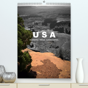 USA – Schwarz weiss Farbenspiel / AT-Version (Premium, hochwertiger DIN A2 Wandkalender 2021, Kunstdruck in Hochglanz) von Stut Artwork,  Mona