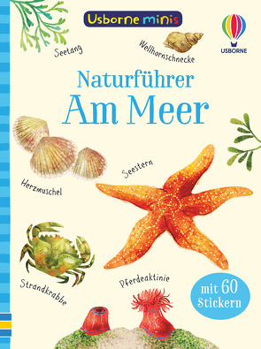 Usborne Minis Naturführer: Am Meer von Fizer Coleman,  Stephanie, Smith,  Sam