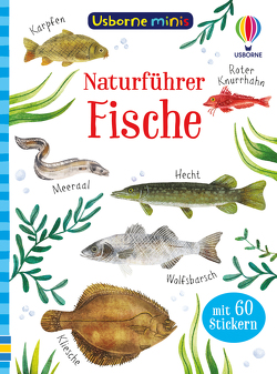 Usborne Minis Naturführer: Fische von Fizer Coleman,  Stephanie, Nolan,  Kate