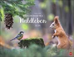 Vadim Trunov: Märchenhaftes Waldleben Posterkalender 2024 von Vadim Trunov